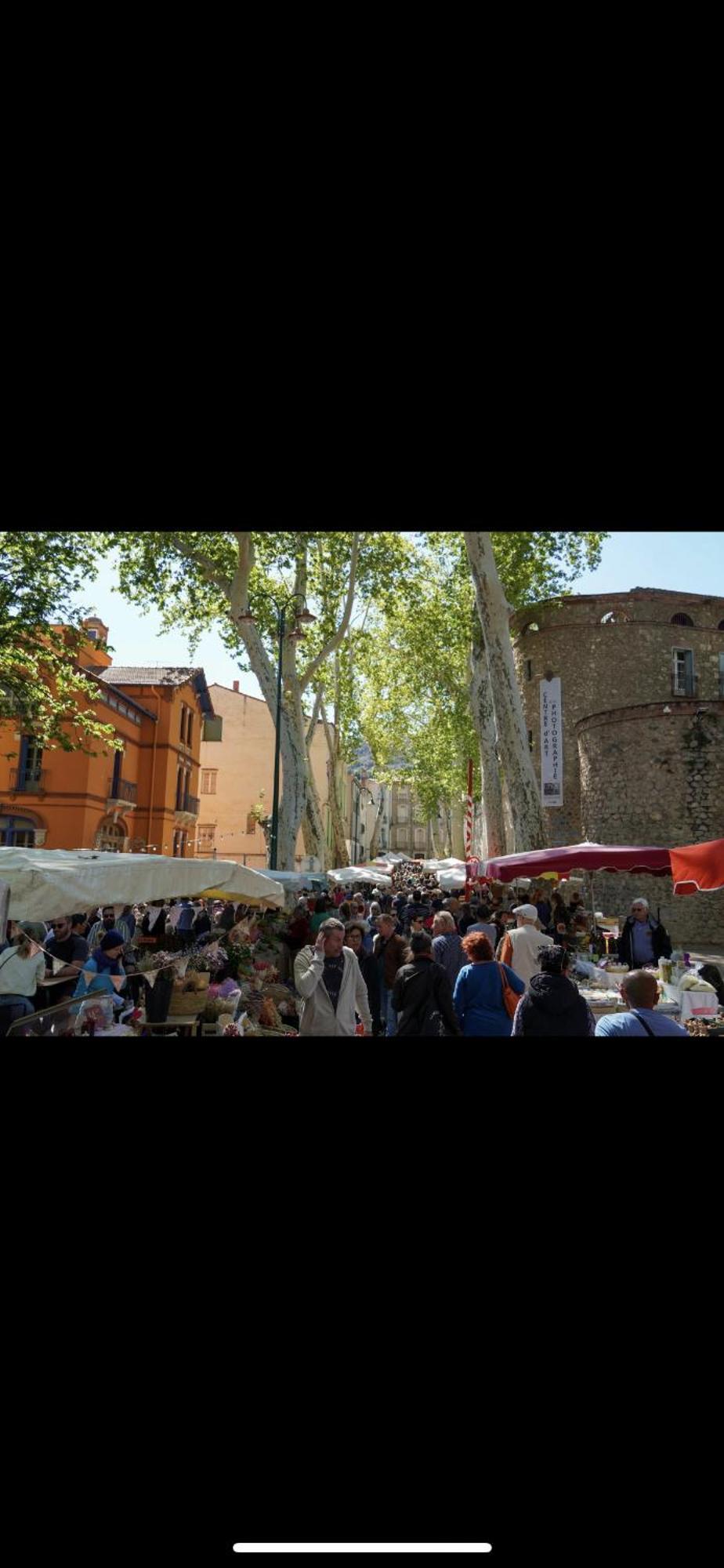 Maison De Vacances Le Bosquet Céret Kültér fotó